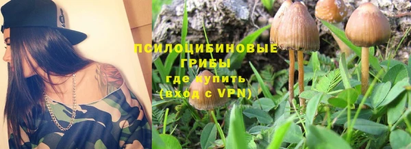 таблы Вяземский