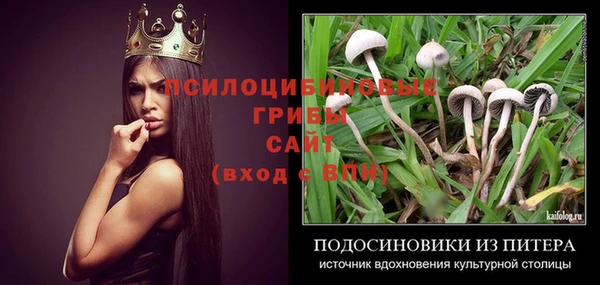 таблы Вяземский