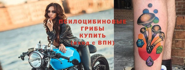 таблы Вяземский